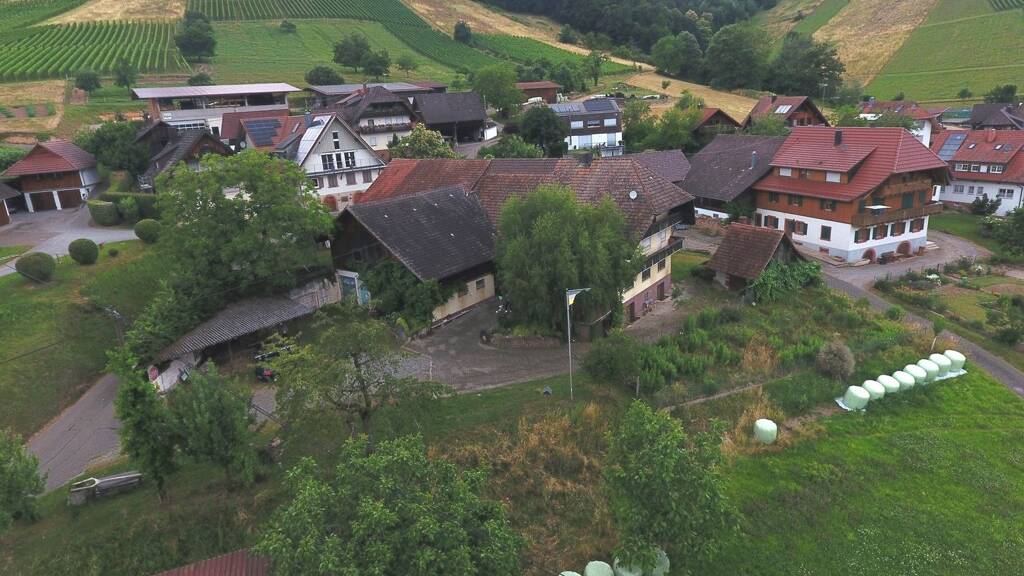 Land-/Forstwirtschaft zum Kauf 987.000 € 170 m² 114.609 m² Grundstück Bermersbach Gengenbach 77723