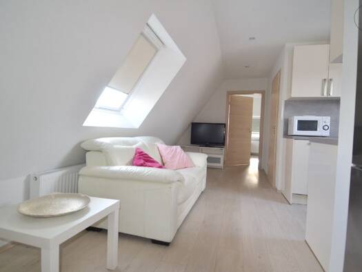 Wohnung zur Miete Wohnen auf Zeit 1.250 € 1 Zimmer 45 m² frei ab sofort Söflingen Ulm 89077