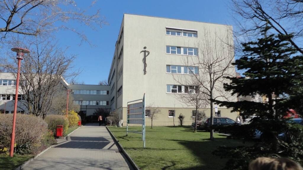 Praxis zur Miete provisionsfrei 9 € 96 m² Bürofläche Bautzen 02625