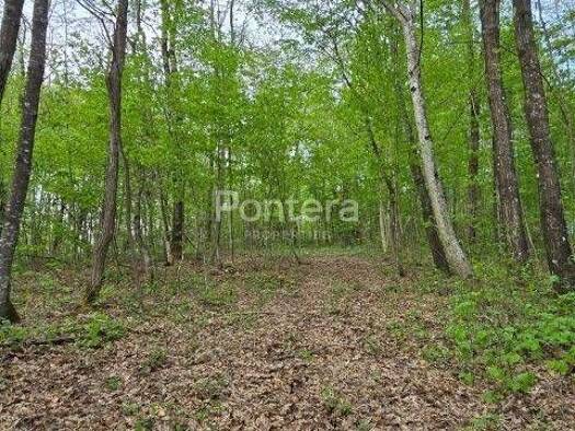Acker-/Waldstück zum Kauf 78.000 € Mrzla Vodica, Lokve Lokve 51316