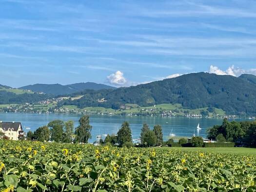 Grundstück zum Kauf 920.000 € 1.080 m² Grundstück Nußdorf am Attersee 4865