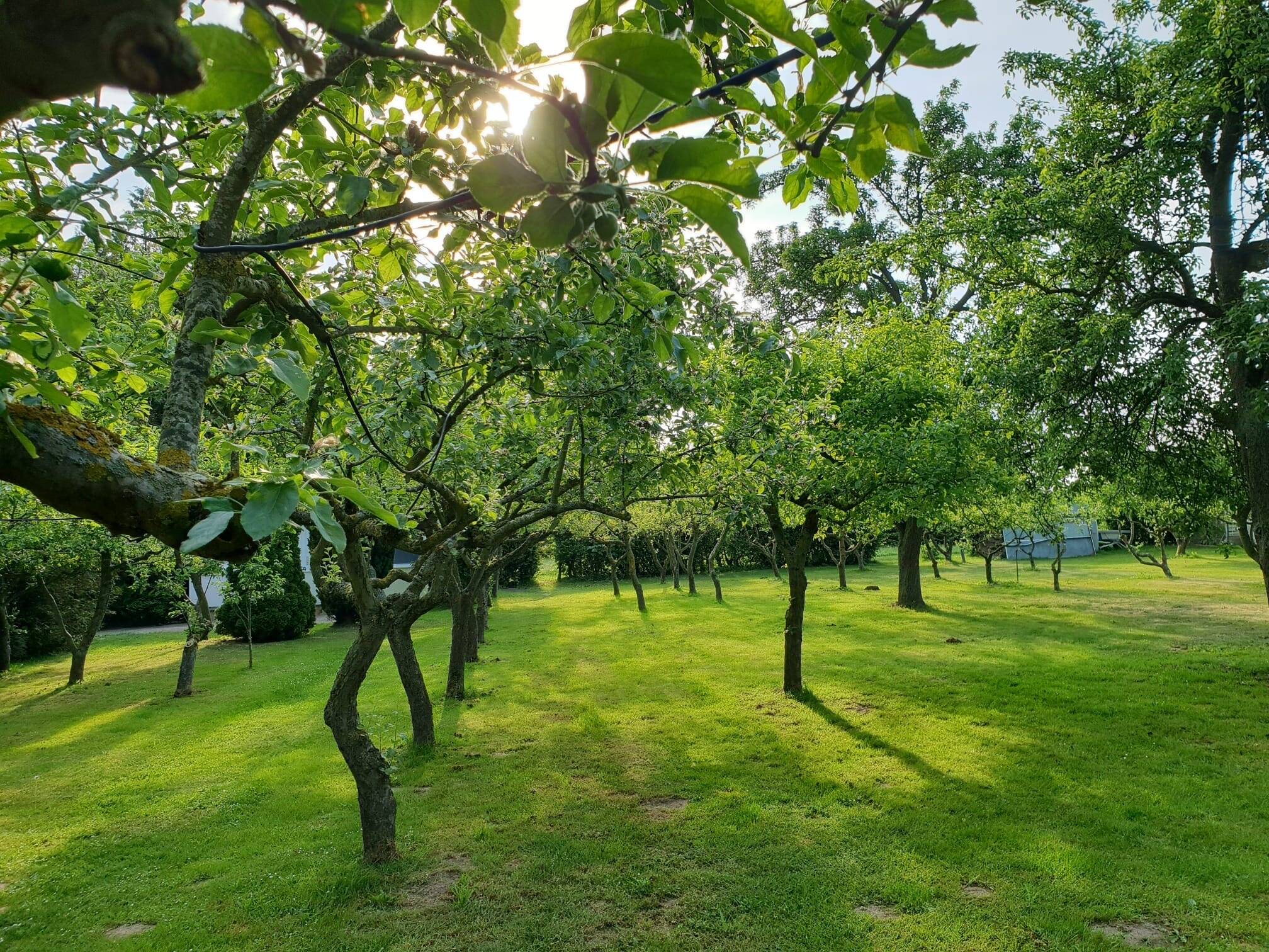 Property thumbnail 32