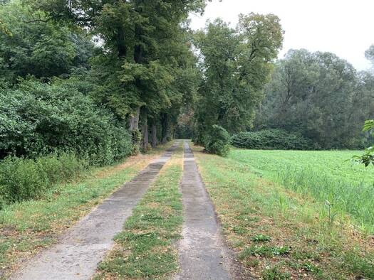 Land-/Forstwirtschaft zum Kauf provisionsfrei 3.200 € 3.290 m² 3.290 m² Grundstück Paul-Bethge-Straße Gusow Gusow-Platkow 15306