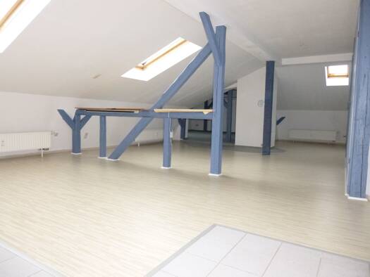 Loft zur Miete 245 € 1 Zimmer 50 m² frei ab sofort Greiz 07973