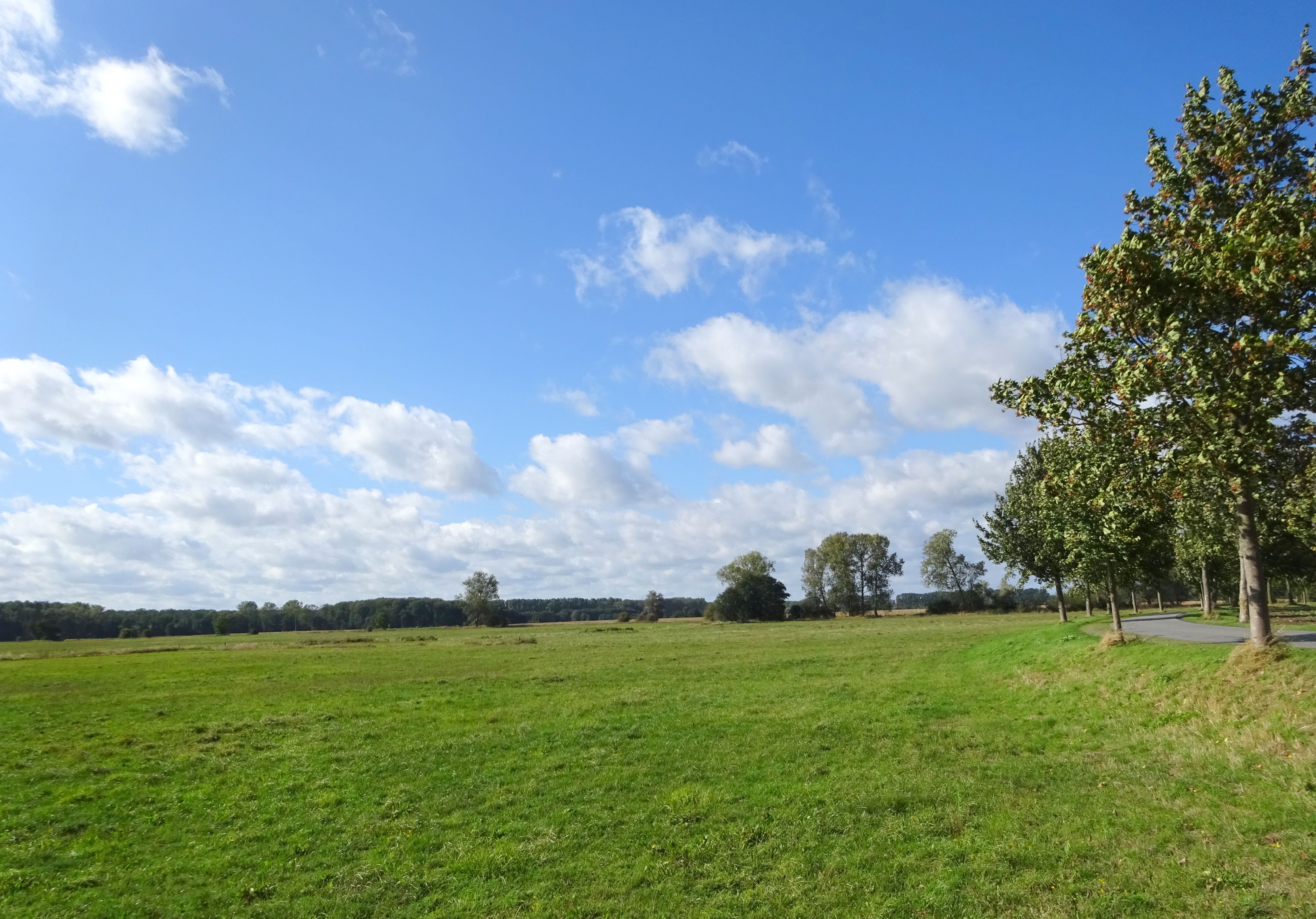 Grundstück zum Kauf 245.000 € 1.507 m²<br/>Grundstück Rabenhorst Admannshagen-Bargeshagen 18211