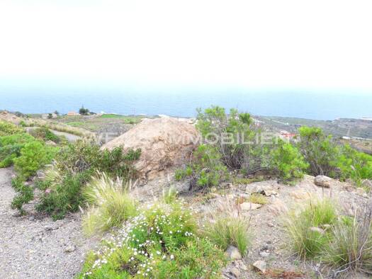 Grundstück zum Kauf provisionsfrei 335.000 € 21.970 m² Grundstück La Orotava 38441