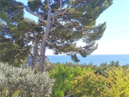 Einfamilienhaus zum Kauf 1.670.000 € 145 m² 500 m² Grundstück Plage et Ecarts CASSIS 14700