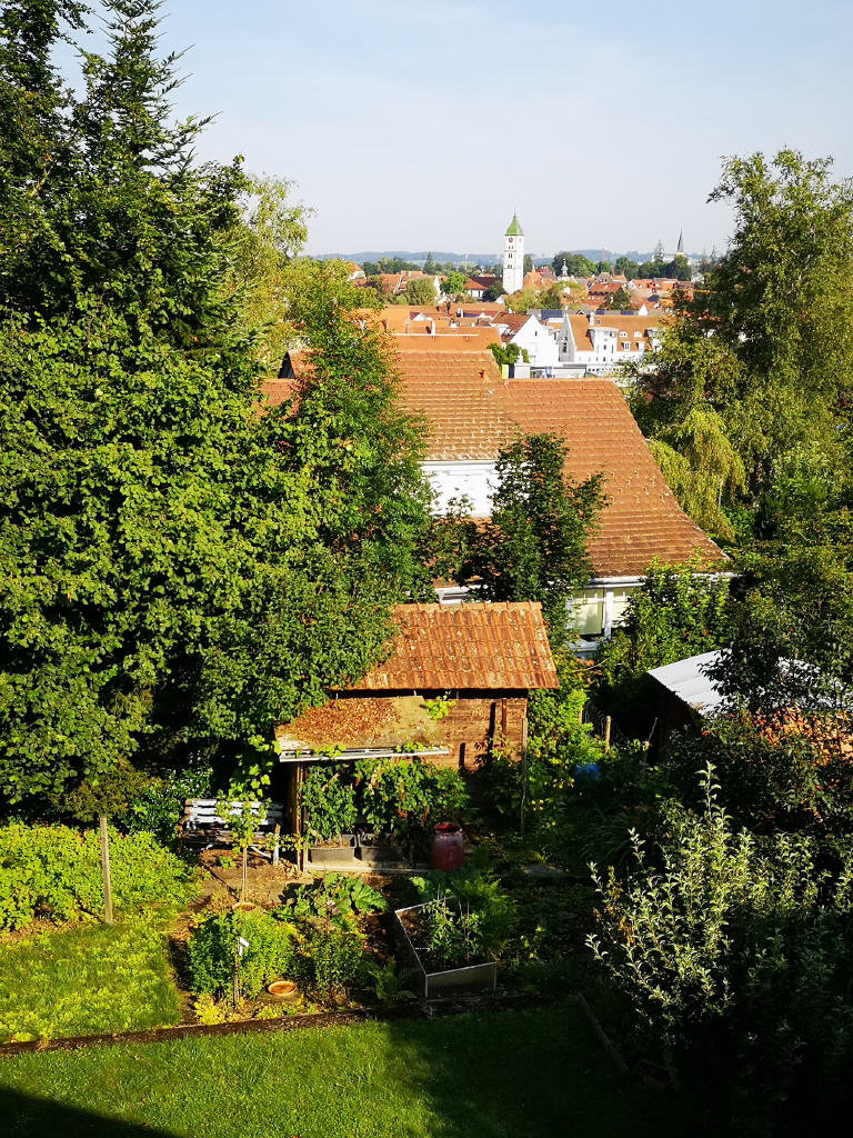 Mehrfamilienhaus zum Kauf 593.800 € 9 Zimmer 161,6 m²<br/>Wohnfläche 799 m²<br/>Grundstück Wangen Wangen 88239