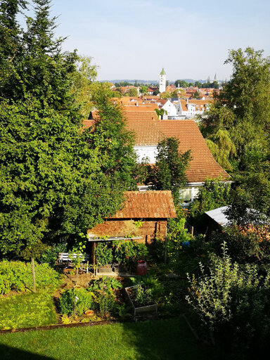 Mehrfamilienhaus zum Kauf 593.800 € 9 Zimmer 161,6 m² 799 m² Grundstück Wangen Wangen 88239