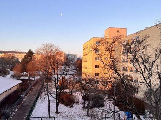 Wohnung zur Miete 197 € 1 Zimmer 25,6 m² 4. Geschoss Färberwaidweg 3 Wiesenhügel Erfurt 99097