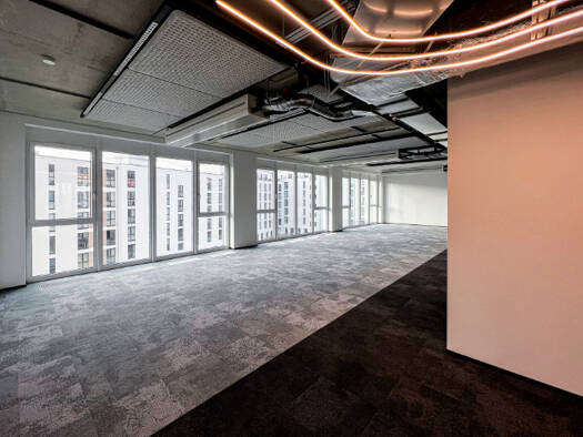 Bürofläche zur Miete provisionsfrei 29.760 € 1.063 m² Bürofläche Hermann-Blankenstein-Str. Prenzlauer Berg Berlin 10249