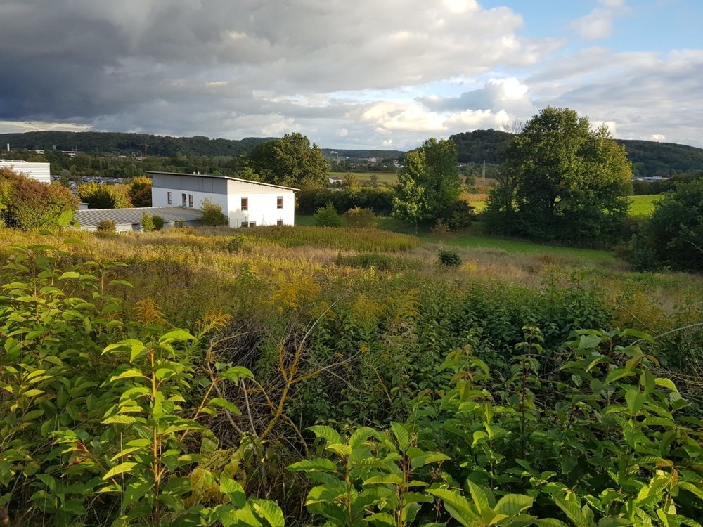 Lagerhalle zur Miete 2.000 m²<br/>Lagerfläche Kelheim Kelheim 93309