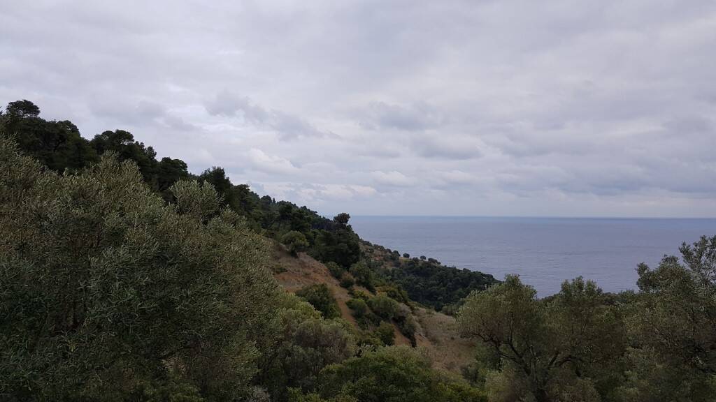 Land-/Forstwirtschaft zum Kauf 100.000 € 6.000 m² Grundstück Chalkidiki