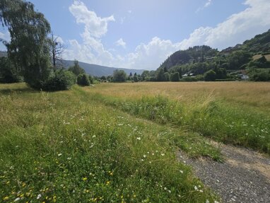 Grundstück zum Kauf 9.724 m² Grundstück Döbriach 9873