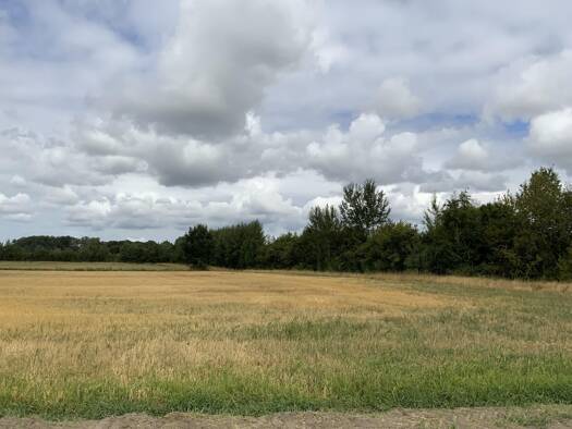 Land-/Forstwirtschaft zum Kauf 295.000 € 19.583 m² Grundstück Lünten Vreden 48691