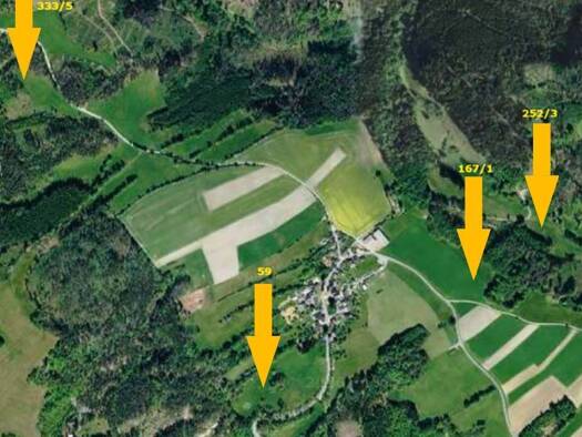 Grundstück zur Versteigerung 3.000 € 11.396 m² Grundstück Reichenbach Probstzella 07330