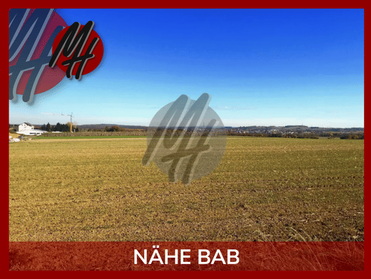 Grundstück zur Miete 16.000 m² Grundstück Babenhausen Babenhausen 64832