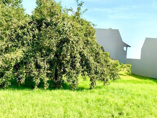 Grundstück zum Kauf 154.999 € 638 m² Grundstück Trunstadt Viereth-Trunstadt 96191