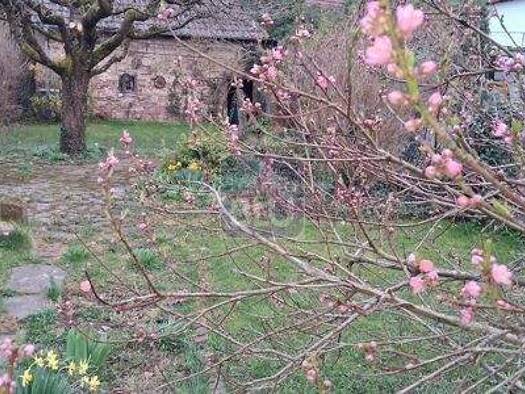 Grundstück zum Kauf provisionsfrei 399.000 € 700 m² Grundstück Söllingen Pfinztal 76327