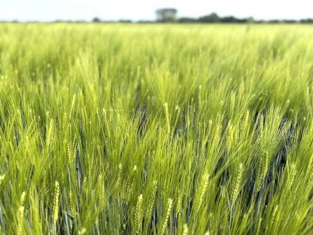 Landwirtschaftliche Fläche zum Kauf 2.650.000 € 211.510 m² 211.510 m² Grundstück Mastholte Rietberg 33397