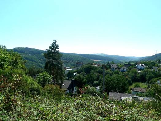 Grundstück zum Kauf 211.000 € 879 m² Grundstück Saarburg 54439