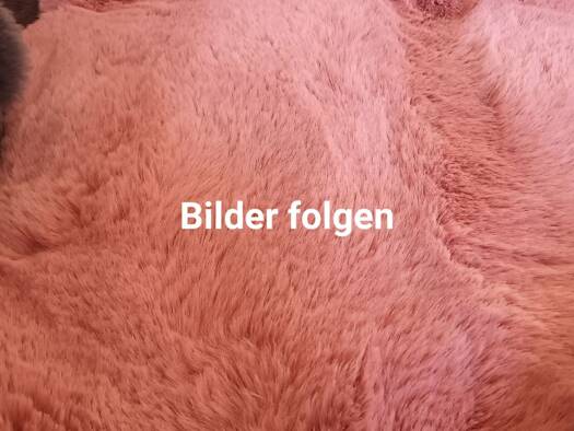 Wohnung zur Miete 600 € 4 Zimmer 100 m² Geschoss 1/2 frei ab 01.05.2026 Gartenstraße 10 Wietzen 31613