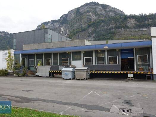 Lagerhalle zur Miete 8 € 928 m² Lagerfläche Wallenmahd 23 Dornbirn 6850