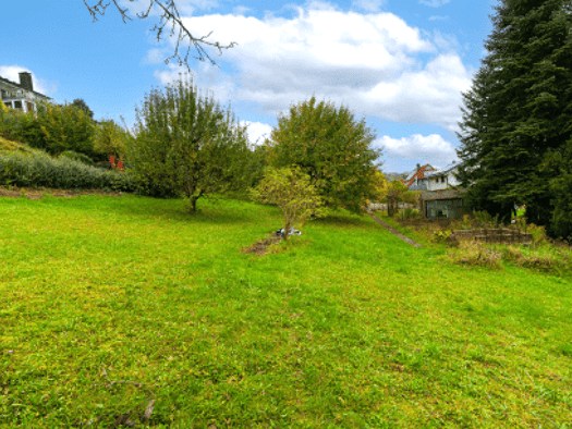 Grundstück zum Kauf 569.000 € 2.104 m² Grundstück Sachsen Sachsen bei Ansbach 91623
