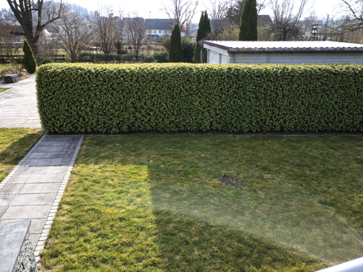 Wohnung zur Miete 1.100 € 2,5 Zimmer 98 m² frei ab 01.07.2026 Langenbach 85416