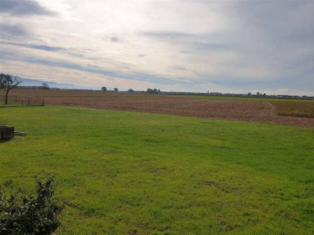 Einfamilienhaus zum Kauf 479.000 € 4 Zimmer 137 m² 1.176 m² Grundstück frei ab sofort Söllingen Rheinmünster 77836