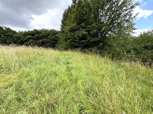 Landwirtschaftliche Fläche zum Kauf 11.000 € 1.058 m² 1.058 m² Grundstück Barntrup 32683