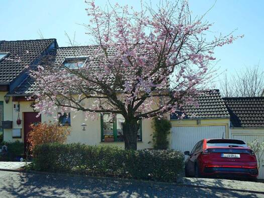 Einfamilienhaus zum Kauf 559.000 € 5 Zimmer 131 m² 236 m² Grundstück Steinbüchel Leverkusen 51377