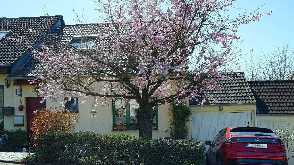 Einfamilienhaus zum Kauf 559.000 € 5 Zimmer 131 m² 236 m² Grundstück Steinbüchel Leverkusen 51377