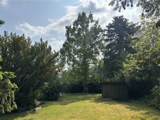 Grundstück zum Kauf 215.000 € 800 m² Grundstück Beurig Saarburg 54439