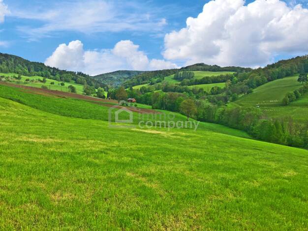 Grundstück zum Kauf 495.000 € 2.117 m² Grundstück Nöstach 2571