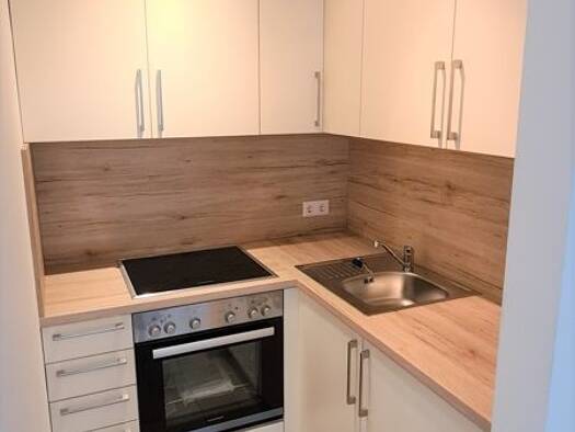 Wohnung zur Miete 450 € 1 Zimmer 40,6 m² frei ab 01.01.2027 Schiffmühlenweg 10 b Bittenbrunn Neuburg an der Donau 86633