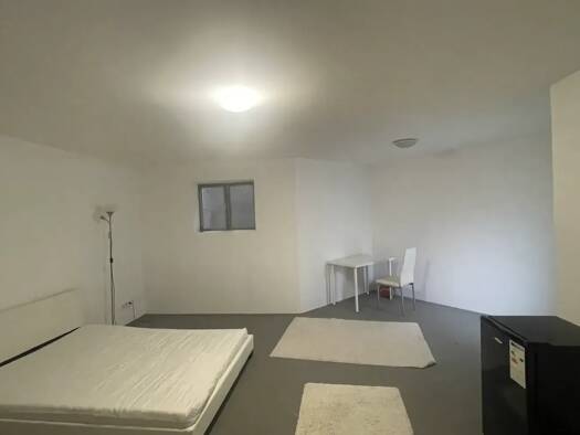 Wohnung zur Miete 450 € 1 Zimmer 25,7 m² UG frei ab sofort Karlstraße 18, Rielingshausen Marbach am Neckar 71672
