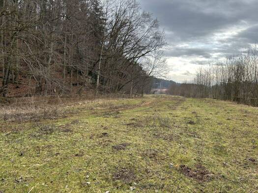 Land-/Forstwirtschaft zum Kauf 147.000 € 9.170 m² Grundstück Kammer Nußdorf 83365