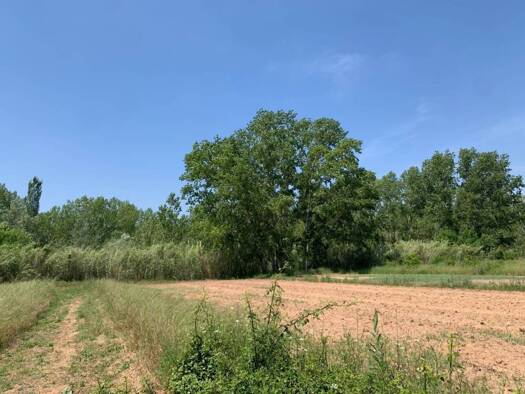 Acker-/Waldstück zum Kauf 15.000 € Pedralba 46164