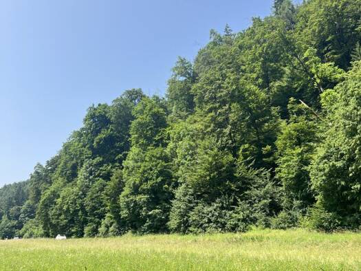 Land-/Forstwirtschaft zum Kauf 47.424 € 3.952 m² Grundstück Eggenberg Graz 8051