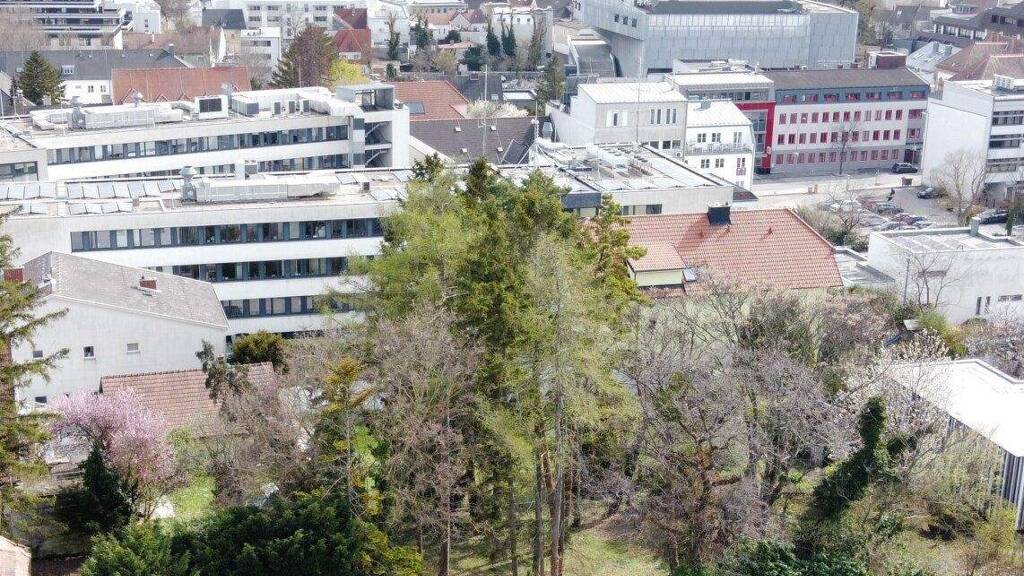 Grundstück zum Kauf 349.000 € 880 m² Grundstück Hartlsteig Eisenstadt 7000