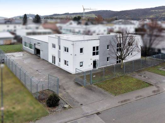 Lagerhalle zum Kauf 800.000 € 387 m² Lagerfläche Laudenbach 69514