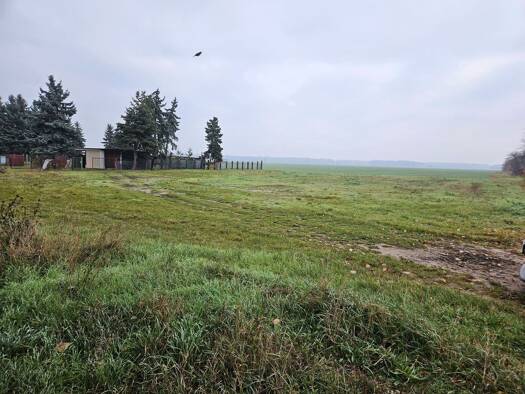 Landwirtschaftliche Fläche zum Kauf 118.000 € 300 m² 2.200 m² Grundstück Beiersdorf Uebigau-Wahrenbrück 04924