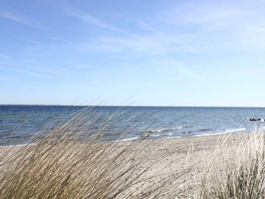 Grundstück zum Kauf 1.200.000 € 802 m² Grundstück Scharbeutz Scharbeutz 23683