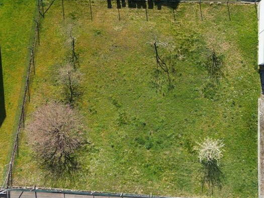 Grundstück zum Kauf provisionsfrei 243.900 € 542 m² Grundstück Hölzerner Straße Eberstadt 74246