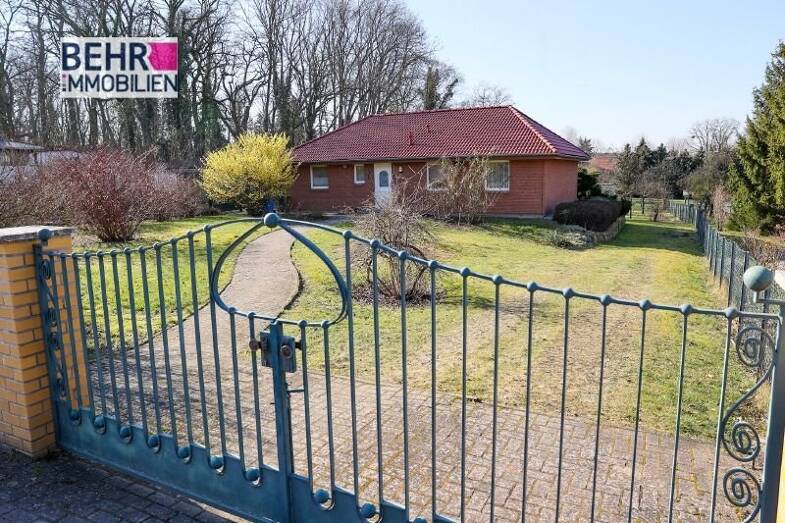 Einfamilienhaus zum Kauf 255.000 € 4 Zimmer 104 m² 1.539 m² Grundstück Falkenberg/Mark Falkenberg OT Cöthen 16259