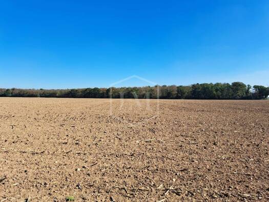 Land-/Forstwirtschaft zum Kauf 575.000 € 45.964 m² Grundstück Lechenich Erftstadt 50374