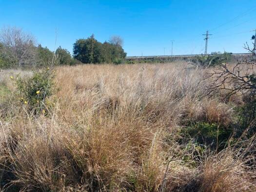 Acker-/Waldstück zum Kauf 86.000 € Beniarbeig 03778