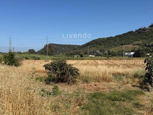 Villa zum Kauf 274.900 € 2 Zimmer 80 m² Vejer de la Frontera 11158