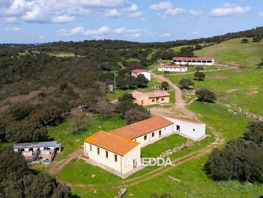 Bauernhaus zum Kauf 1.400.000 € 1.230.000 m² Grundstück GF5G+X6 Villanova Monteleone 07019